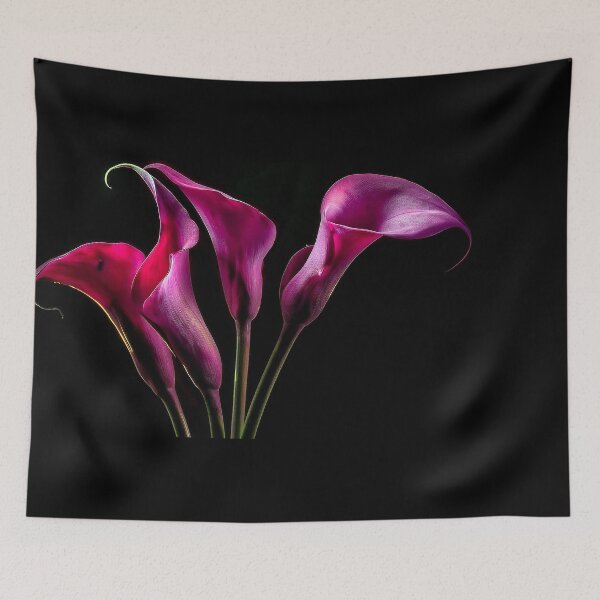 Item preview, Pink calla lilies designed and sold by andreisky.