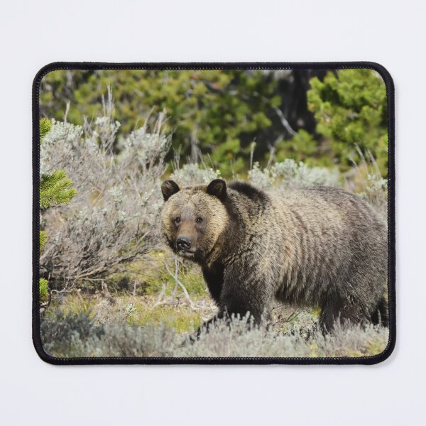 Item preview, grizzly strut designed and sold by grizzbass.