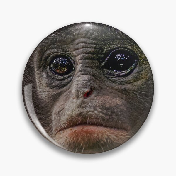 Item preview, Leaf Monkey face designed and sold by Dalyndigital Photography.