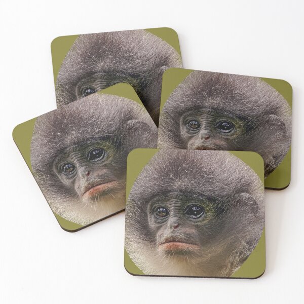Item preview, Leaf Monkey face designed and sold by Dalyndigital Photography.