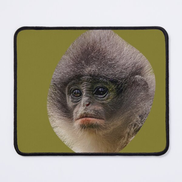 Item preview, Leaf Monkey face designed and sold by Dalyndigital Photography.