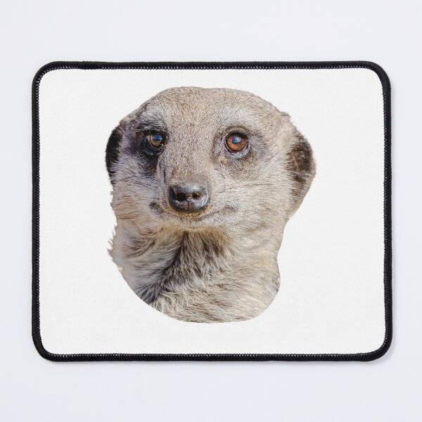 Item preview,  Meerkat I have my eyes on you designed and sold by Dalyndigital Photography.