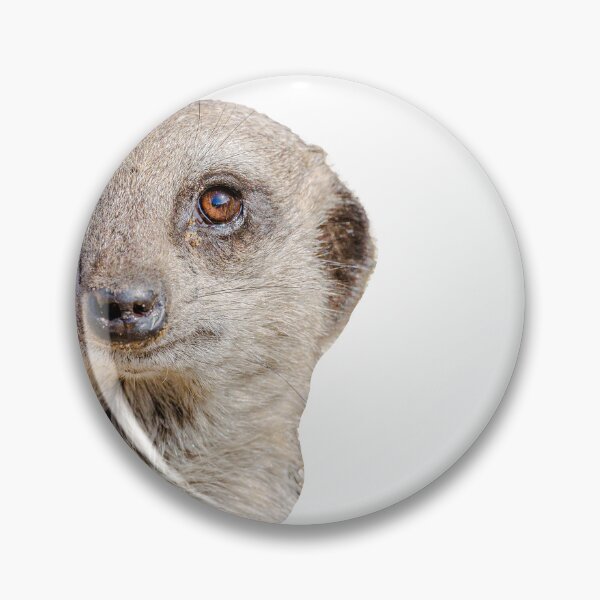 Item preview,  Meerkat I have my eyes on you designed and sold by Dalyndigital Photography.