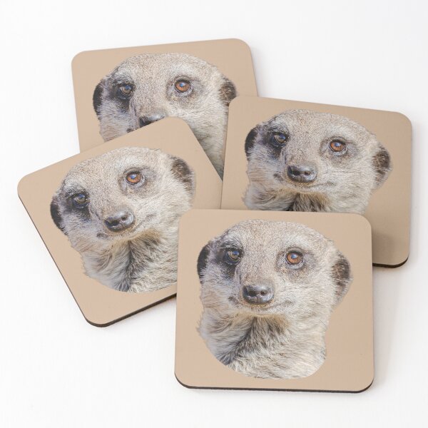 Item preview,  Meerkat I have my eyes on you designed and sold by Dalyndigital Photography.