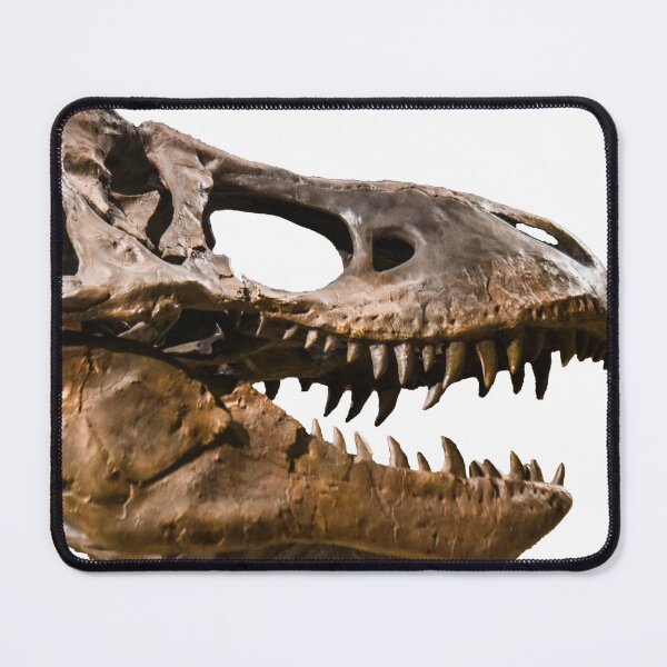 Item preview, Dinosaur T-Rex skull designed and sold by cadenasaurus.