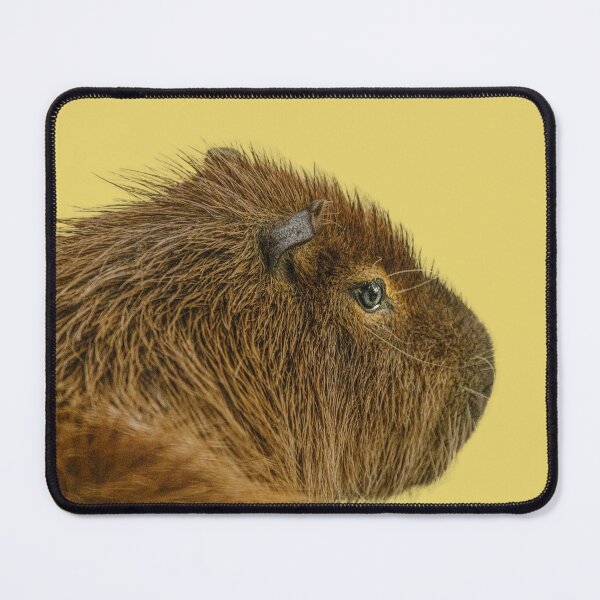 Item preview, Day dreaming Capy designed and sold by Dalyndigital Photography.