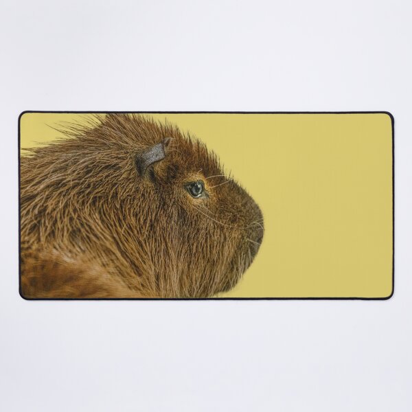 Item preview, Day dreaming Capy designed and sold by Dalyndigital Photography.