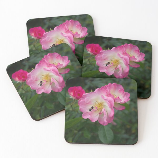 Item preview, Bee on Pink Roses designed and sold by Alisonchambers2.
