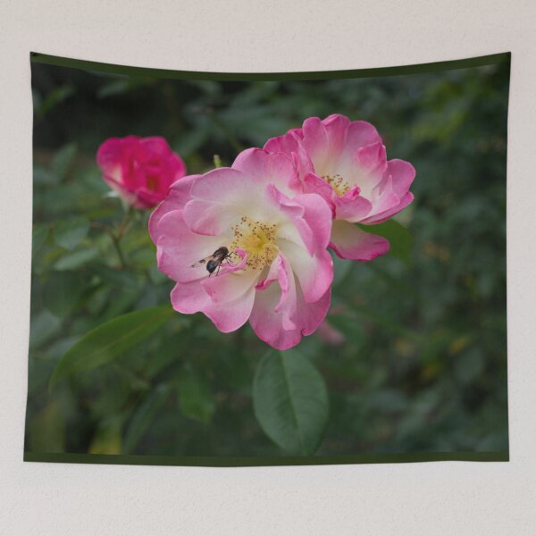 Item preview, Bee on Pink Roses designed and sold by Alisonchambers2.