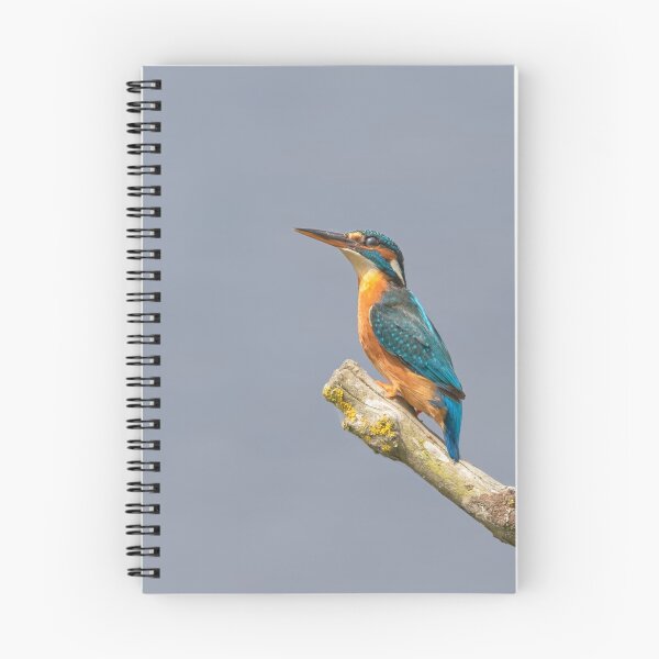Item preview, Kentish Kingfisher designed and sold by lyttonimages.