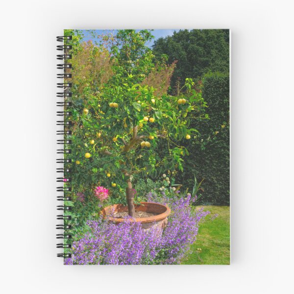 Item preview, Lemon Tree designed and sold by Alisonchambers2.