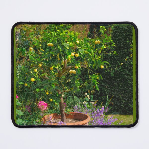 Item preview, Lemon Tree designed and sold by Alisonchambers2.