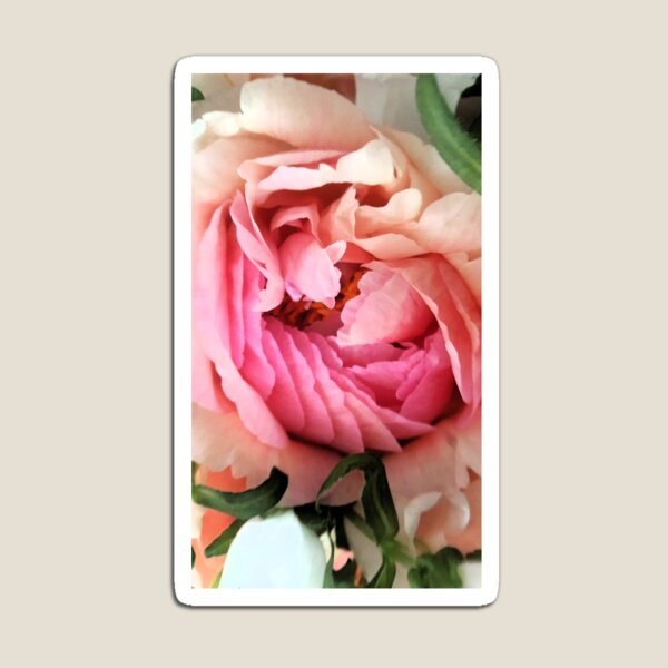 Peony Magnet