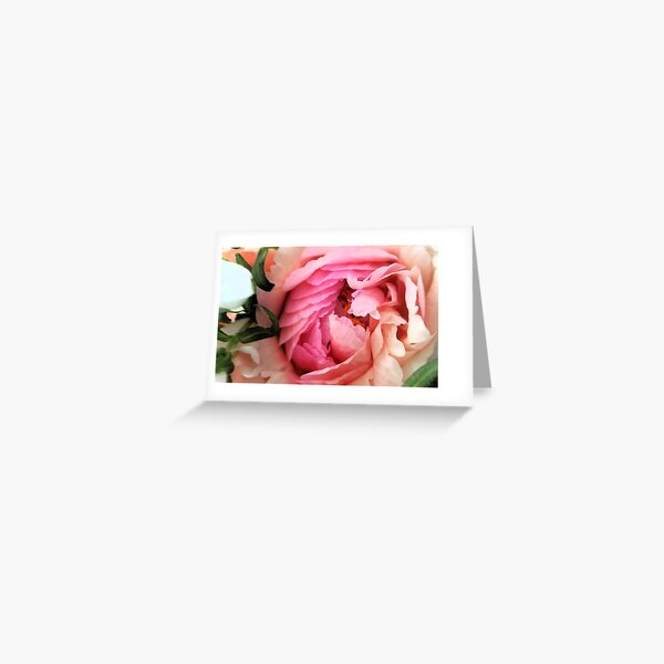 Pivoine Carte de vœux