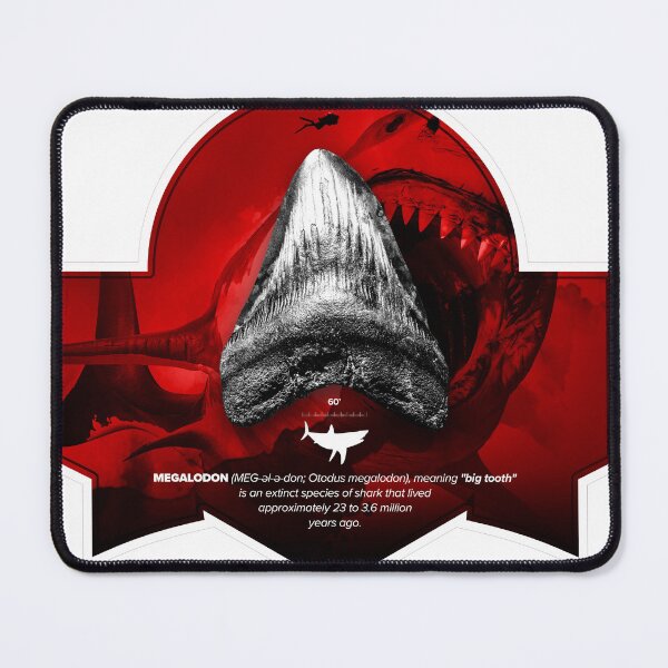 Item preview, Megalodon Graphic Tooth T-shirt designed and sold by PAULKOJO72.