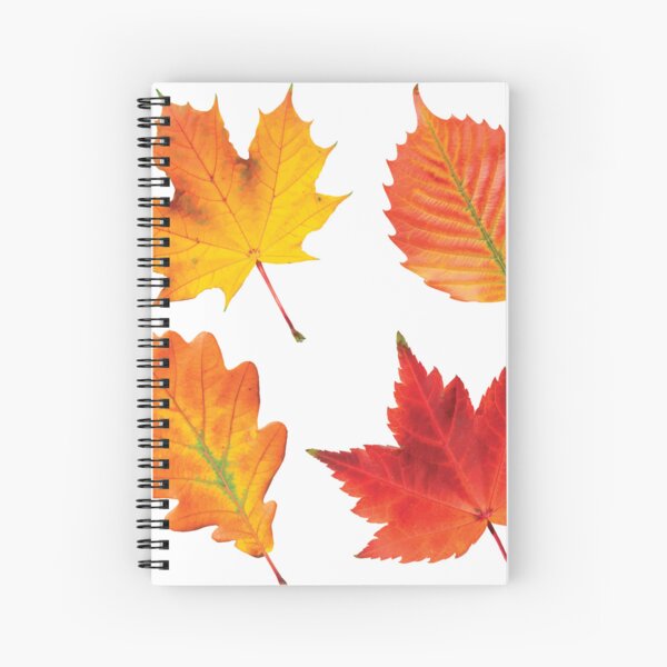 FALL LEAVES Spiral Notebook