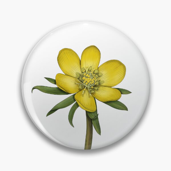 Item preview, Eranthis hyemalis - Winter Aconite designed and sold by TasiaZenzura.
