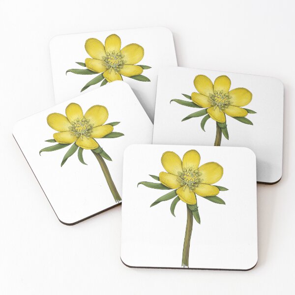 Item preview, Eranthis hyemalis - Winter Aconite designed and sold by TasiaZenzura.
