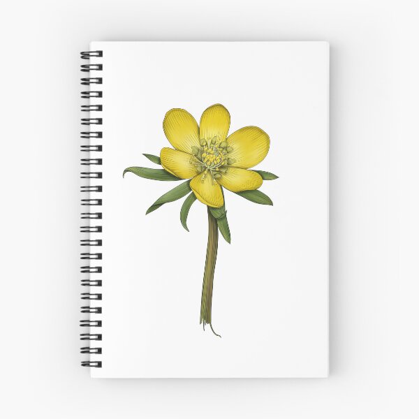 Item preview, Eranthis hyemalis - Winter Aconite designed and sold by TasiaZenzura.