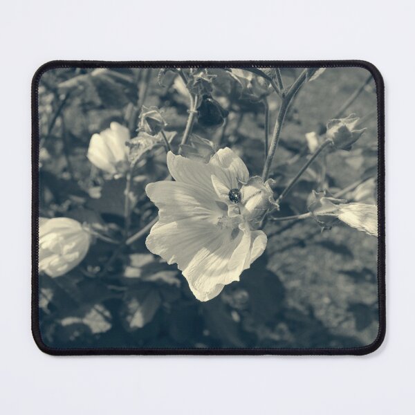 Item preview, Nostalgic Malva thuringiaca Flowers designed and sold by Taina Sohlman.