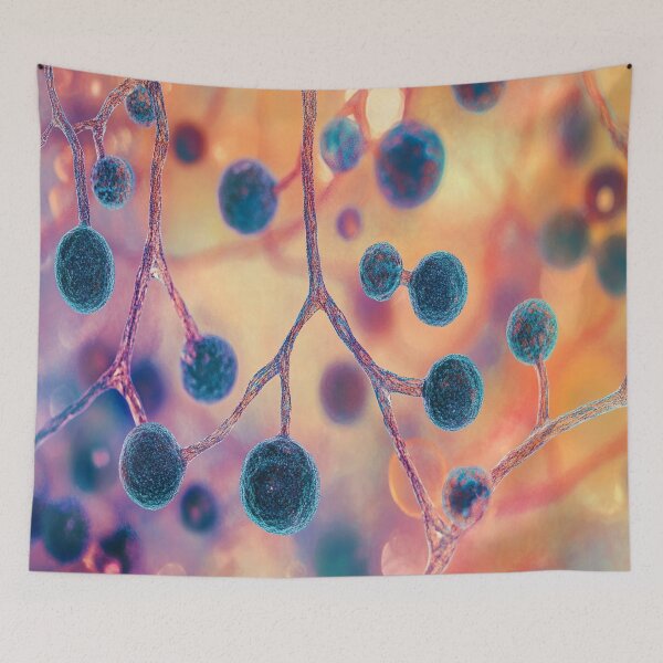 Item preview, Intricate Mold Spore Patterns designed and sold by mittie101.