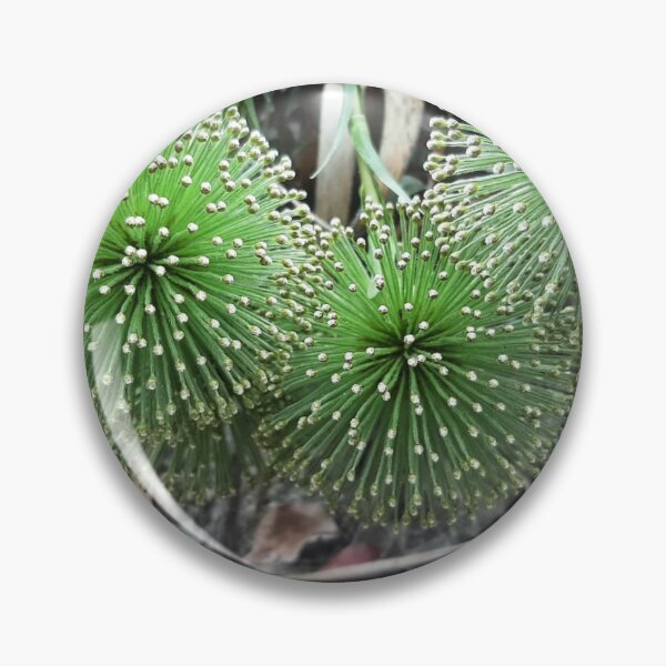 Item preview, Sempre viva designed and sold by Micheline Almeida Atelier.