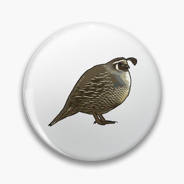 Item preview, California Quail designed and sold by Birdoodle.