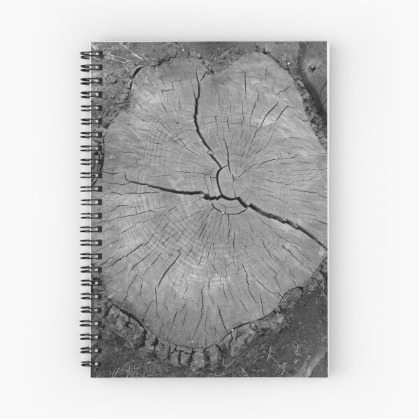 Item preview, Tree Stump from Old Willow Tree designed and sold by Christine Schulte.