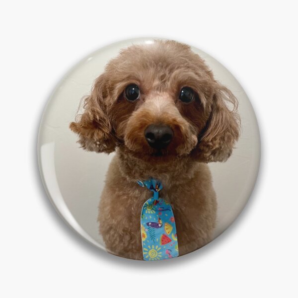 Item preview, Mini Poodle Wearing a Tie designed and sold by Zoozwear Apparel.