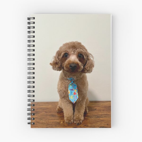 Item preview, Mini Poodle Wearing a Tie designed and sold by Zoozwear Apparel.