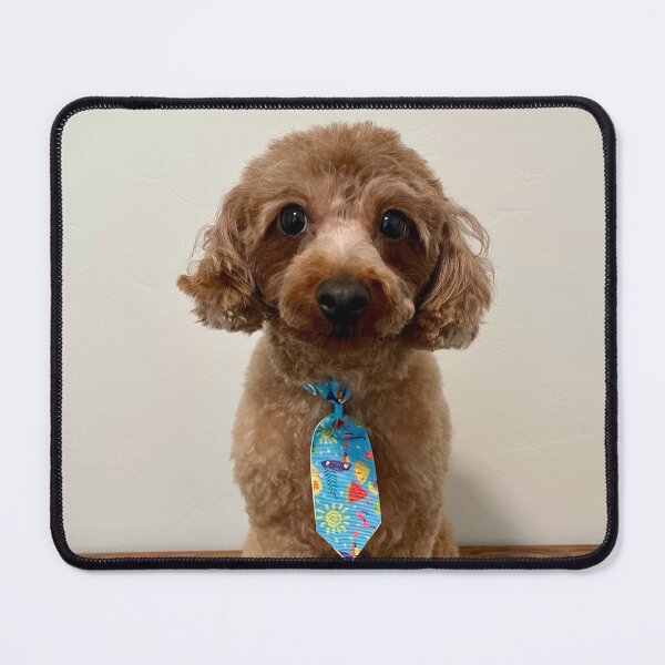 Item preview, Mini Poodle Wearing a Tie designed and sold by Zoozwear Apparel.