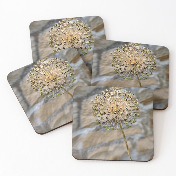 Item preview, Allium polyanthum designed and sold by jasminewang.