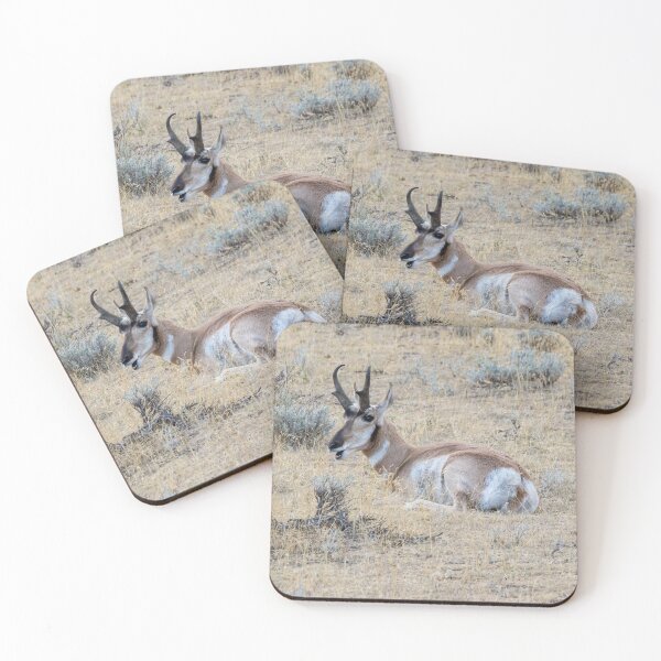Item preview, Antelope Resting In A Field designed and sold by FreelanceJim.