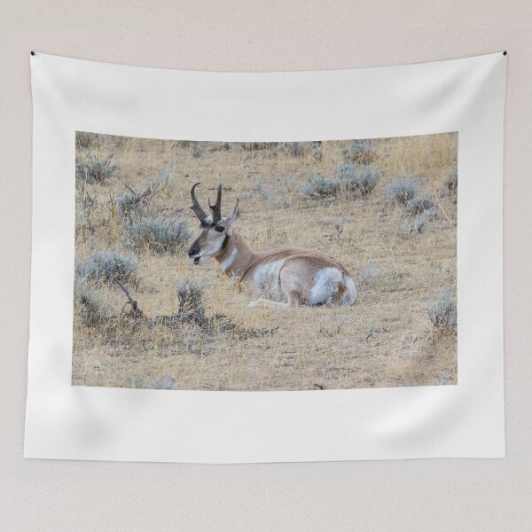 Item preview, Antelope Resting In A Field designed and sold by FreelanceJim.