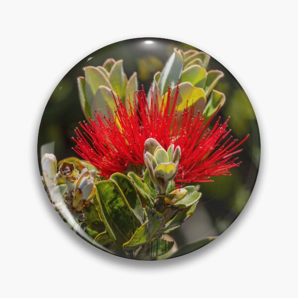 Item preview, Ohia Lehua Succulent Flower designed and sold by SafariByMarisa.