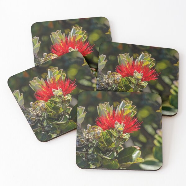 Item preview, Ohia Lehua Succulent Flower designed and sold by SafariByMarisa.