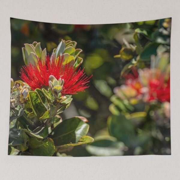 Item preview, Ohia Lehua Succulent Flower designed and sold by SafariByMarisa.