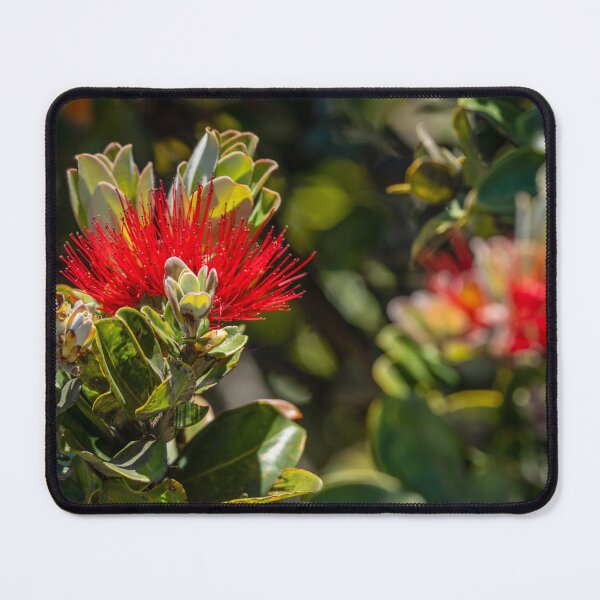 Item preview, Ohia Lehua Succulent Flower designed and sold by SafariByMarisa.
