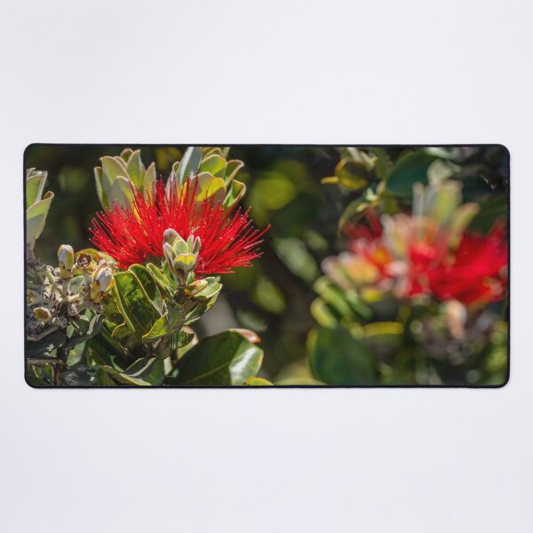 Item preview, Ohia Lehua Succulent Flower designed and sold by SafariByMarisa.
