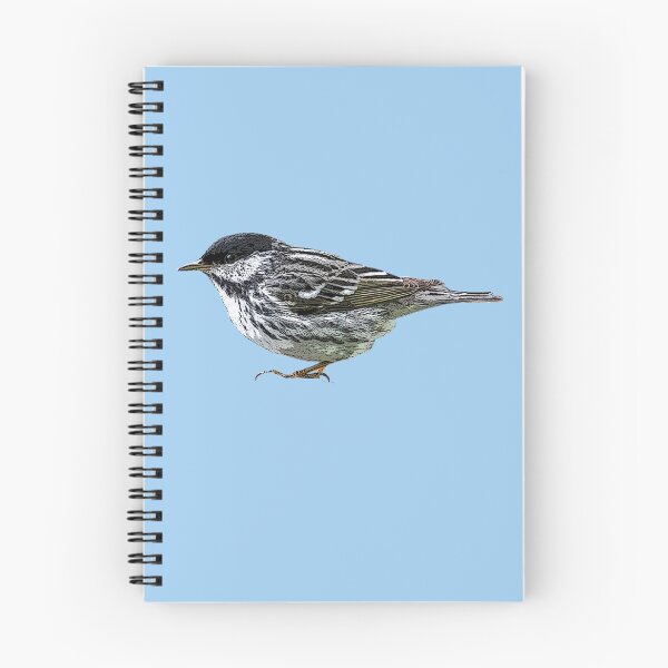Item preview, Blackpoll Warbler Color Design  designed and sold by designsasstultd.
