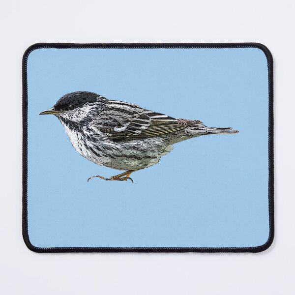 Item preview, Blackpoll Warbler Color Design  designed and sold by designsasstultd.