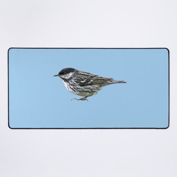 Item preview, Blackpoll Warbler Color Design designed and sold by designsasstultd.