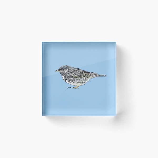 Item preview, Blackpoll Warbler Black Alternate Design  designed and sold by designsasstultd.
