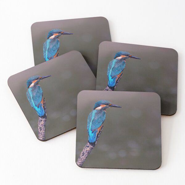 Item preview, Kingfisher designed and sold by Tom McPherson Photography.