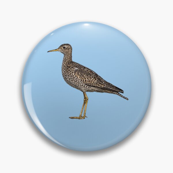 Item preview, Upland Sandpiper Color Design  designed and sold by designsasstultd.