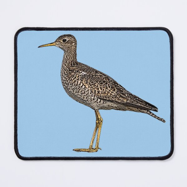Item preview, Upland Sandpiper Color Design  designed and sold by designsasstultd.