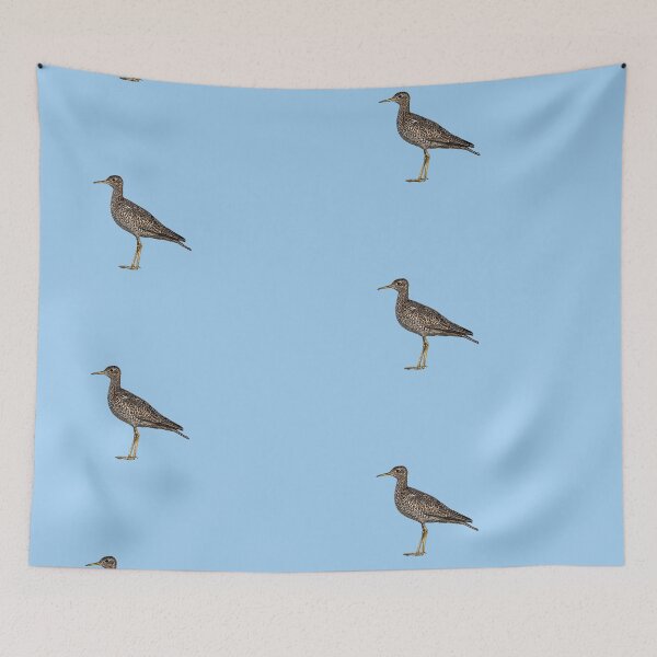 Item preview, Upland Sandpiper Color Design  designed and sold by designsasstultd.