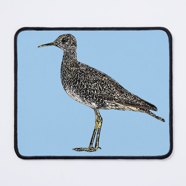 Item preview, Upland Sandpiper Black Alternate Design  designed and sold by designsasstultd.