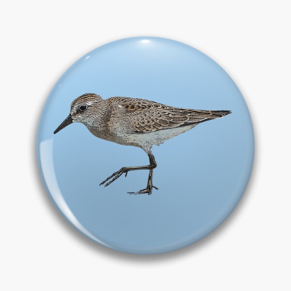 Item preview, Semipalmated Sandpiper Color Design  designed and sold by designsasstultd.