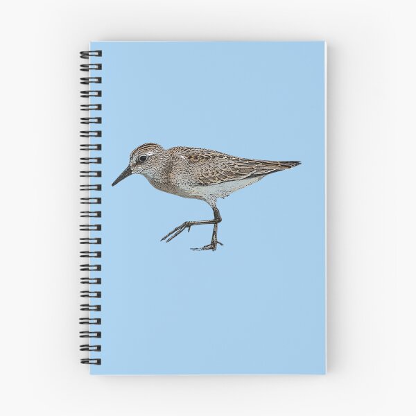 Item preview, Semipalmated Sandpiper Color Design  designed and sold by designsasstultd.